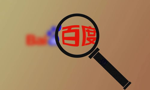 蜘蛛池的搭建步骤与注意事项